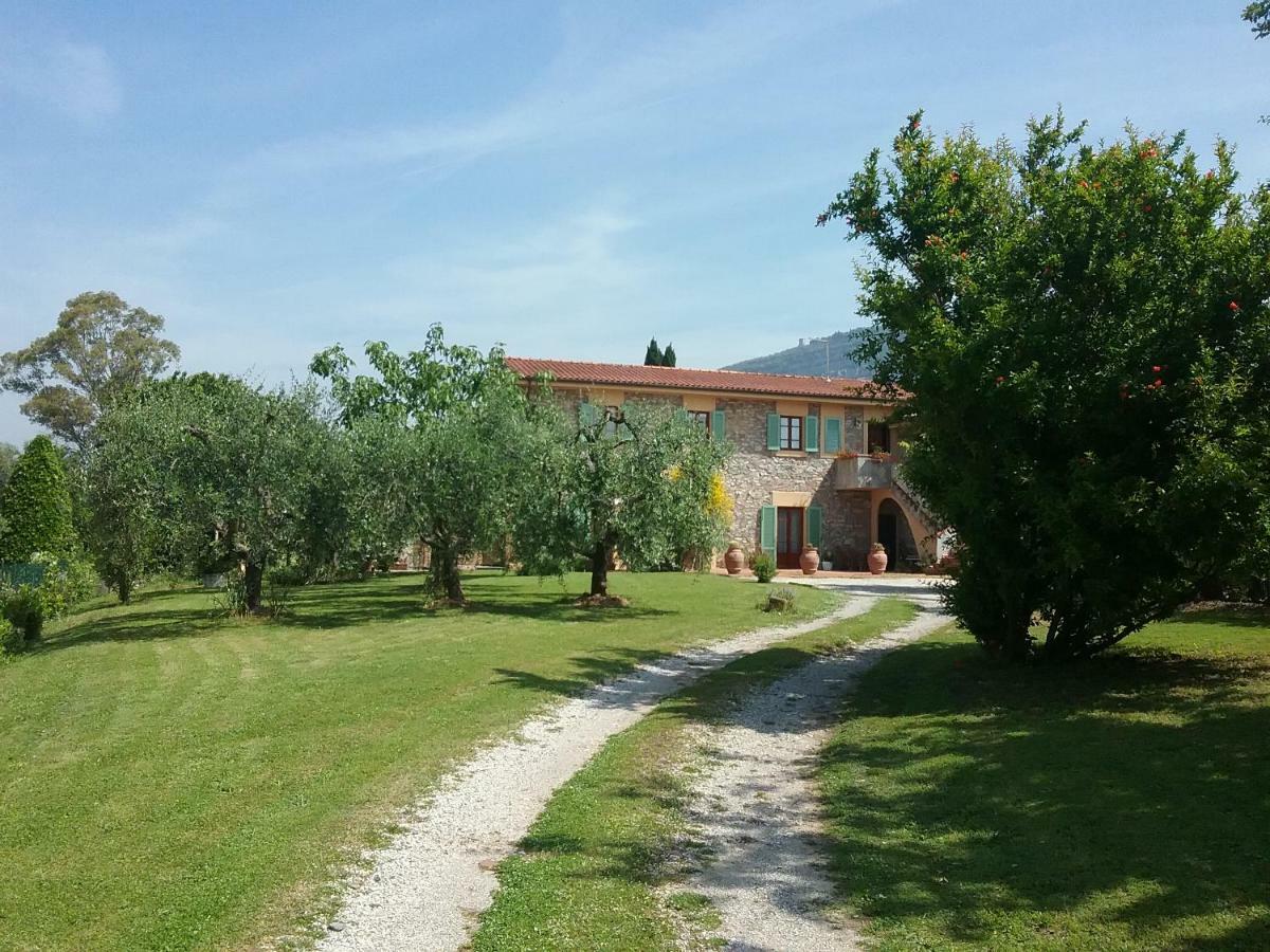 Locazione Turistica La Ginestra Lejlighed Monsummano Terme Eksteriør billede